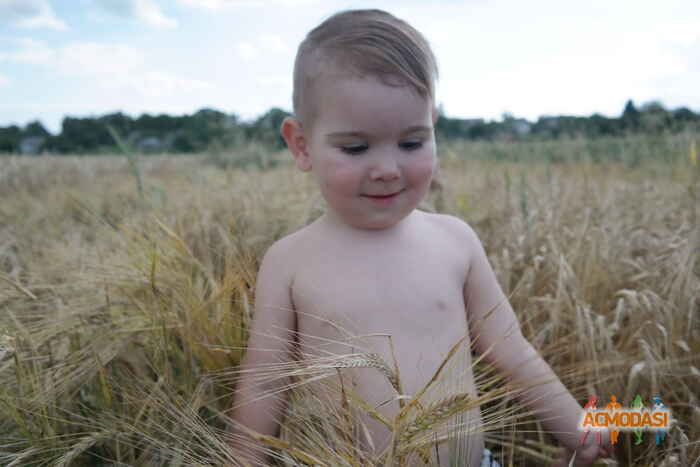 Марк Дмитрович Отовський фото №1085095. Завантажено 30 Липня 2017