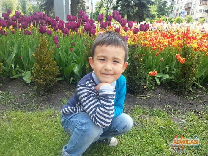 Артем Андреевич Цой фото №1058504. Завантажено 25 Травня 2017