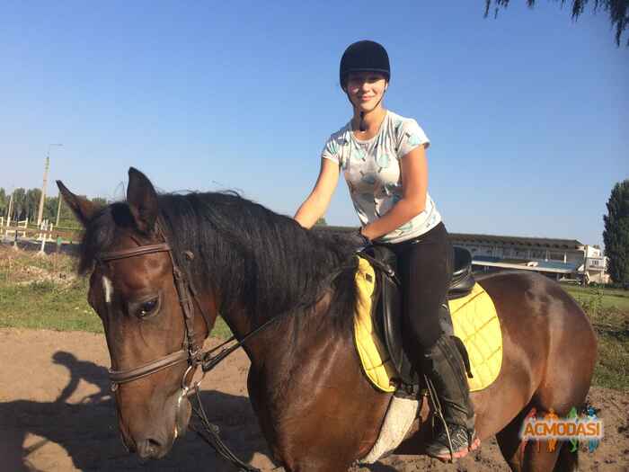 Софія Русланівна Єрмолаєва фото №1317764. Завантажено 06 Листопада 2018