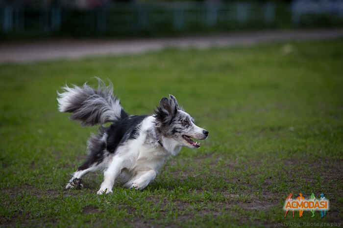 Юлия Михайловна Самохвалова фото №1025936. Завантажено 27 Лютого 2017