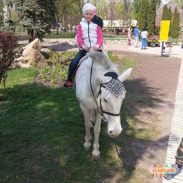 Тетяна Володимирівна Кудренко фото №978127. Завантажено 30 Жовтня 2016