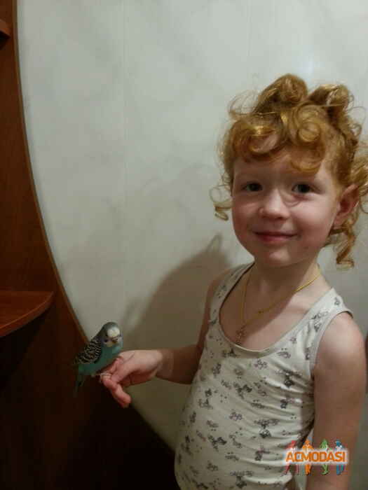 Ольга Витальевна Запопадько фото №1133549. Завантажено 09 Листопада 2017