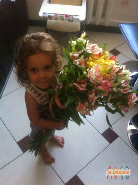 Назар Васильович  фото №1096632. Завантажено 27 Серпня 2017