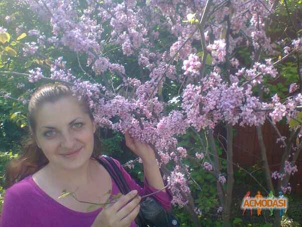 Клименок Олена Михайлівна фото №770527. Завантажено 18 Листопада 2014