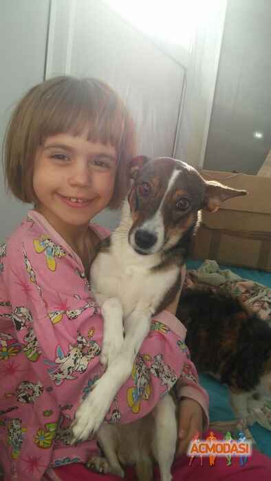 Виолетта Витальевна Малая фото №1038852. Завантажено 02 Квітня 2017