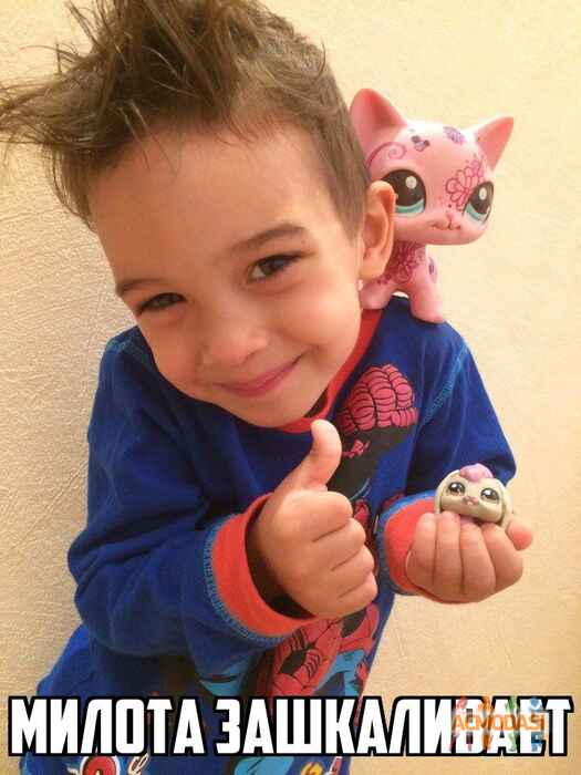 Александр Евгеньевич Шафранский фото №1125588. Завантажено 28 Жовтня 2017