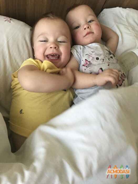 Олена Володимирівна Волокіткіна фото №1485137. Завантажено 07 Грудня 2019