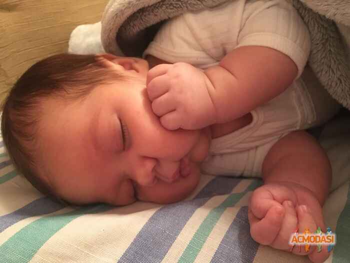 Марк Викторович Кушнир фото №1146829. Завантажено 02 Грудня 2017