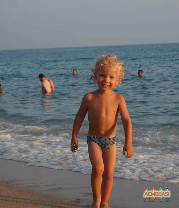 лев   фото №908633. Завантажено 11 Травня 2016