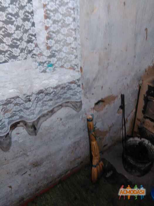 наталья мазнова викторовна фото №1118295. Завантажено 14 Жовтня 2017