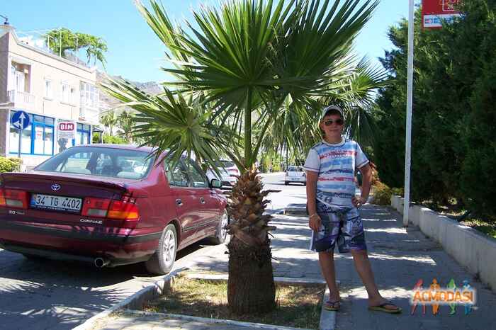 Олександр Броніславович Дубина фото №126305. Завантажено 06 Січня 2012