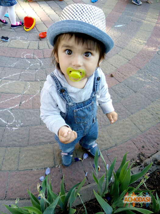 Амир Алиасхабович Алиев фото №1067428. Завантажено 16 Червня 2017