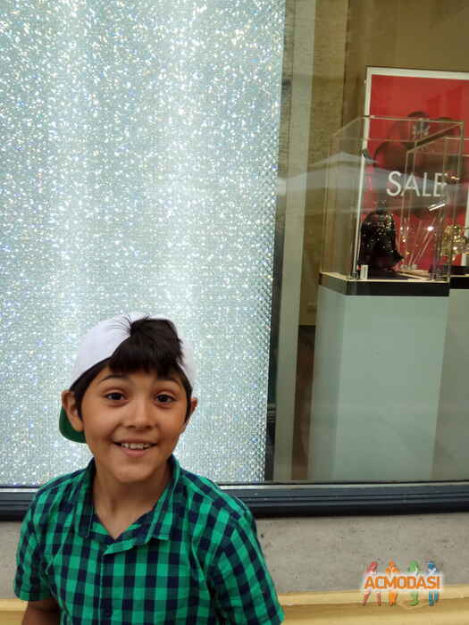 Зинаида Николаевна Науменко фото №1141300. Завантажено 22 Листопада 2017