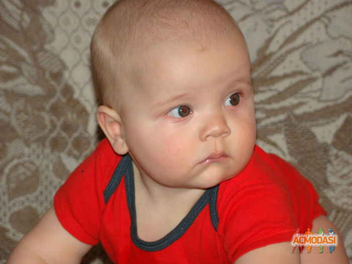 Александр  Ситнянский фото №1014402. Завантажено 31 Січня 2017