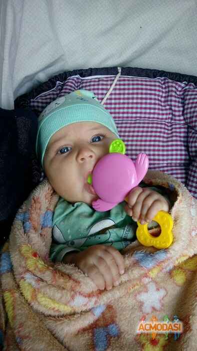 Ева Аскеровна Мехтиева фото №1123897. Завантажено 25 Жовтня 2017