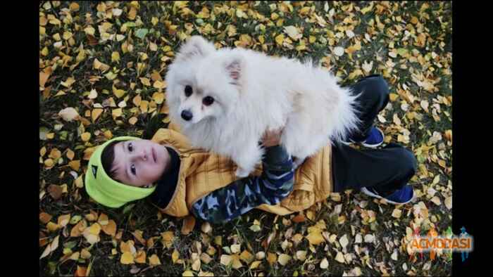 Никита Витальевич Скапенко фото №1025429. Завантажено 26 Лютого 2017