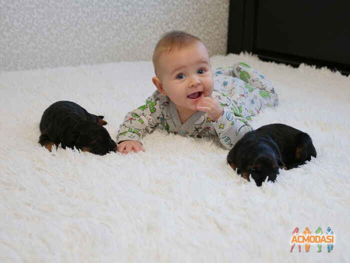 Макар Сергеевич Клименко фото №1155675. Завантажено 22 Грудня 2017