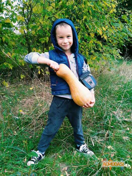 Матвій  Іванченко фото №1455988. Завантажено 02 Жовтня 2019