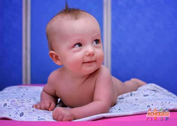 Руслана  Навроцька фото №1012074. Завантажено 26 Січня 2017