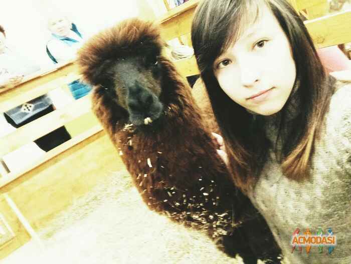 Елена  Мерва фото №1039426. Завантажено 04 Квітня 2017