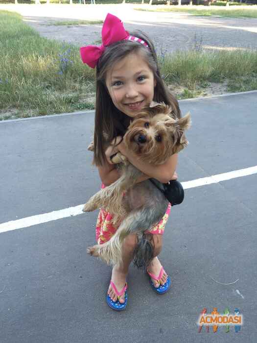 Дарья   фото №1096285. Завантажено 26 Серпня 2017