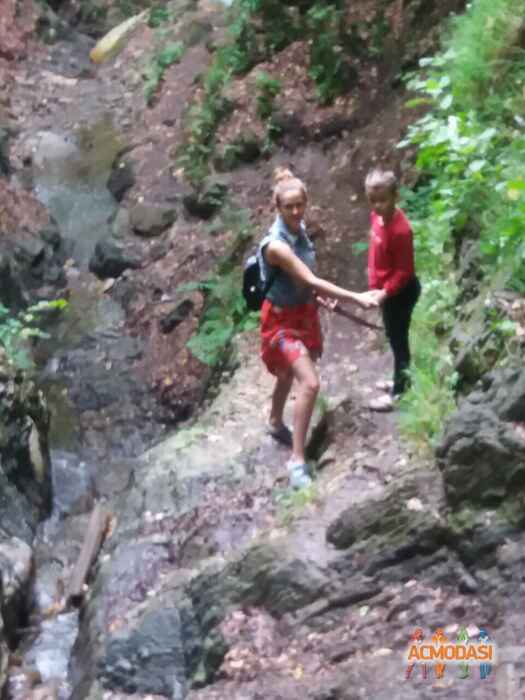 Ольга Петрівна Подолян фото №1488128. Завантажено 14 Грудня 2019