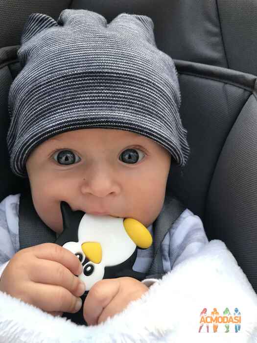 Тимур Богданович Булах фото №1104117. Завантажено 14 Вересня 2017