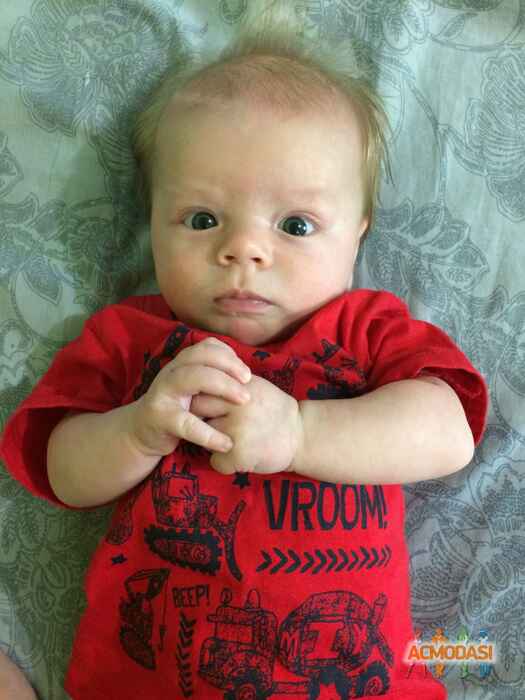 Ярослав Миколайович Рiзниченко фото №1067043. Завантажено 16 Червня 2017