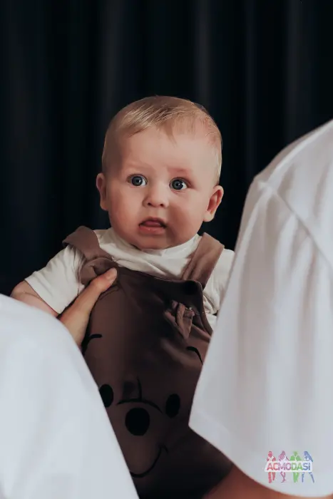 Степан Степанович Биба фото №1745299. Завантажено 21 Липня 2025