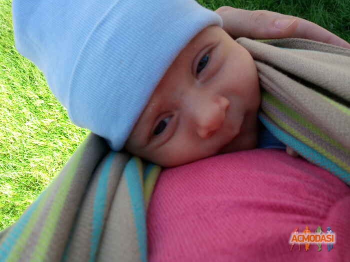 Шевченко  Елена фото №1067307. Завантажено 16 Червня 2017