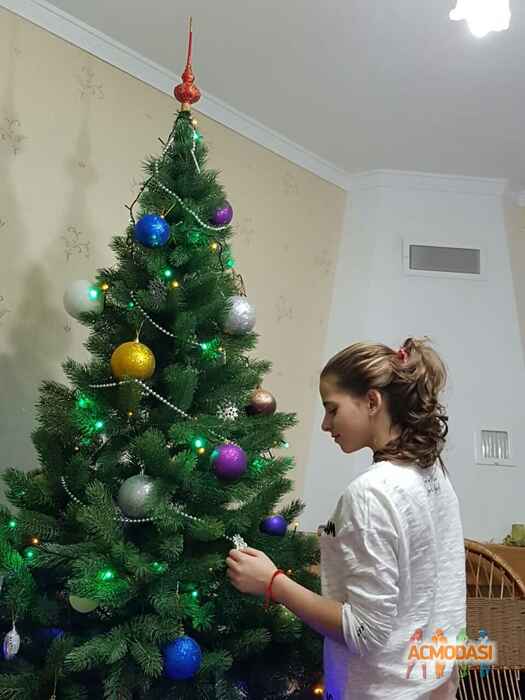 Марія Ігорівна Лисюк фото №1160319. Завантажено 05 Січня 2018