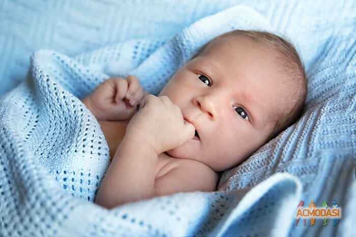 Diana  Vizyon фото №800675. Завантажено 11 Травня 2015