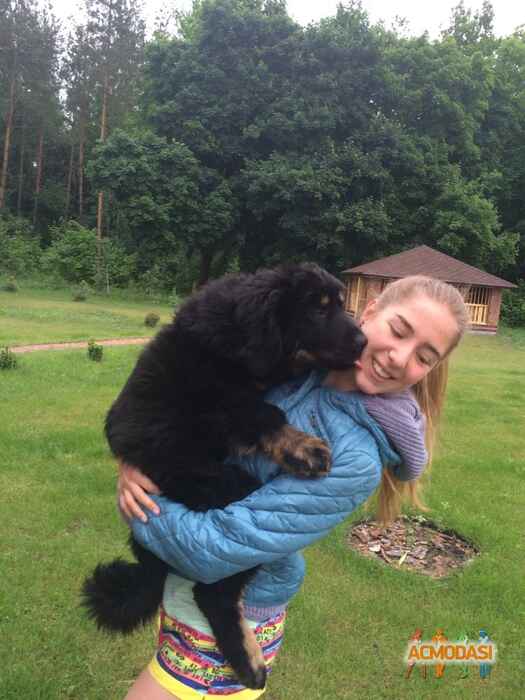 Діана   фото №982271. Завантажено 08 Листопада 2016