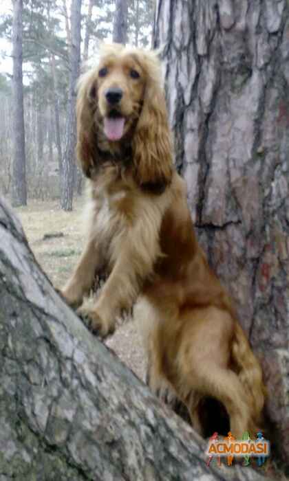 Людмила Антоновна Андрейшина фото №1179326. Завантажено 04 Лютого 2018