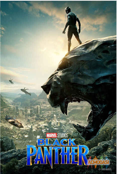 Black Panther Cast management фото №1327769. Завантажено 24 Листопада 2018