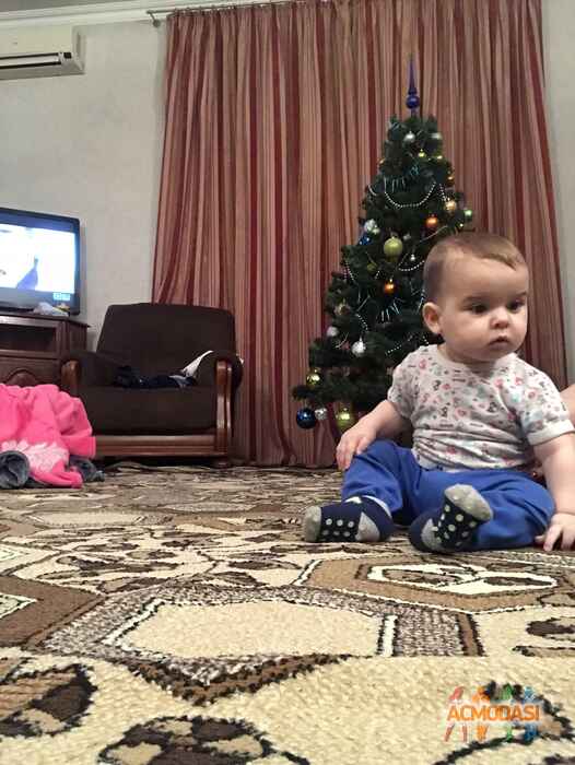 Марк Гиоргиевичь Степанишин фото №1162453. Завантажено 10 Січня 2018