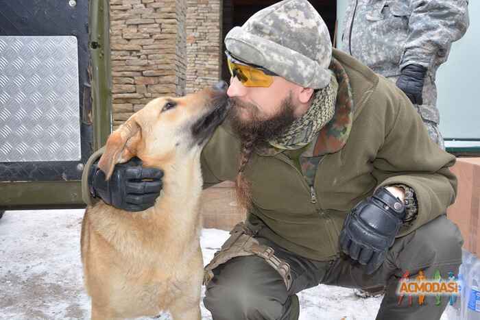 Владислав   фото №1041203. Завантажено 08 Квітня 2017