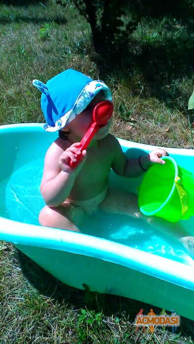 Олександра Дмитрівна Тимошенко фото №1113293. Завантажено 06 Жовтня 2017