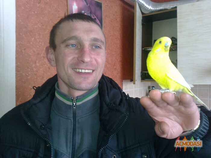 Олег Александрович Сафронников фото №591803. Завантажено 07 Лютого 2014