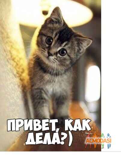 Рома  Овдий фото №1507536. Завантажено 10 Лютого 2020