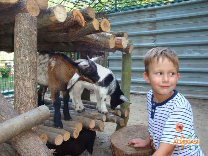 Артем Евгеньевич Половнев фото №251079. Завантажено 08 Вересня 2012