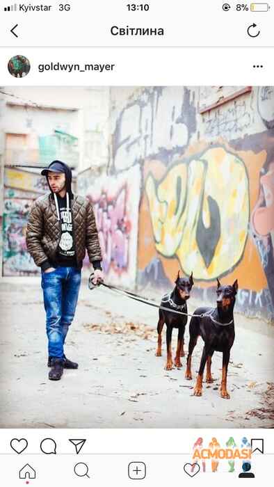 Павло Олексійович Борищак фото №1180571. Завантажено 06 Лютого 2018