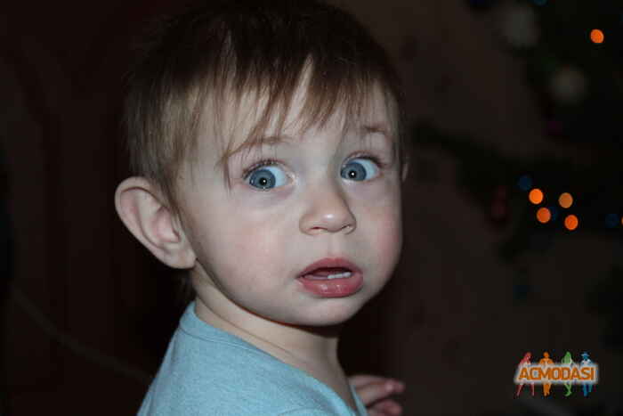 Елена Сергеевна  фото №1096654. Завантажено 27 Серпня 2017