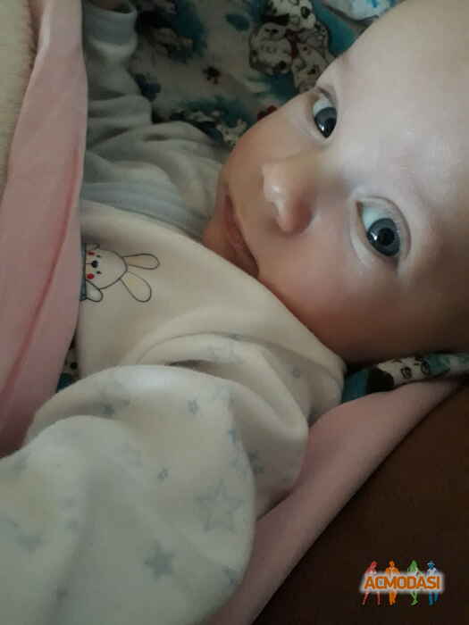 Давид Александрович Бушковский фото №1060300. Завантажено 30 Травня 2017