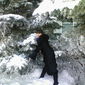 Татьяна  Пискун фото №182337