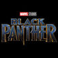 Black Panther Cast management фото №1327770