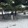 Ангеліна  Бояджі фото №1738450