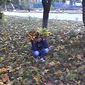 Светлана Сергеевна Озерчук фото №1203611
