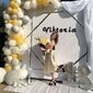 Василина Юріївна Тесля фото №1440885