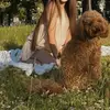 Тетяна  Тростогон фото №1757684